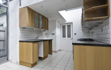 Bordesley kitchen extension leads